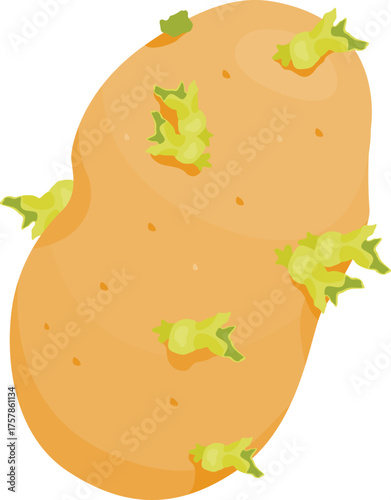 Illustration of a Potato with Sprouts