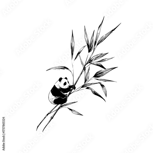 Witness the adorable panda clinging to bamboo in this stunning black and white sketch, a must share for animal lovers