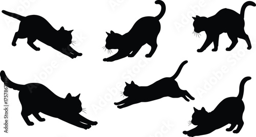 Silhouette of playful cats in various stretching and jumping poses, vector illustration of domestic pets in motion, animal behavior design