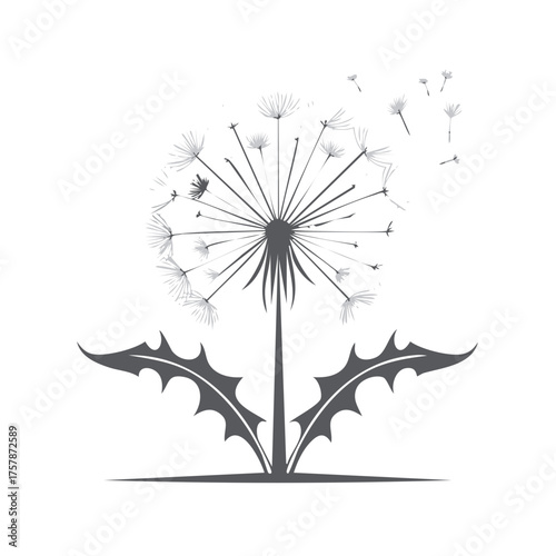 Stylized grey dandelion flower with seeds blowing and flying away in the wind