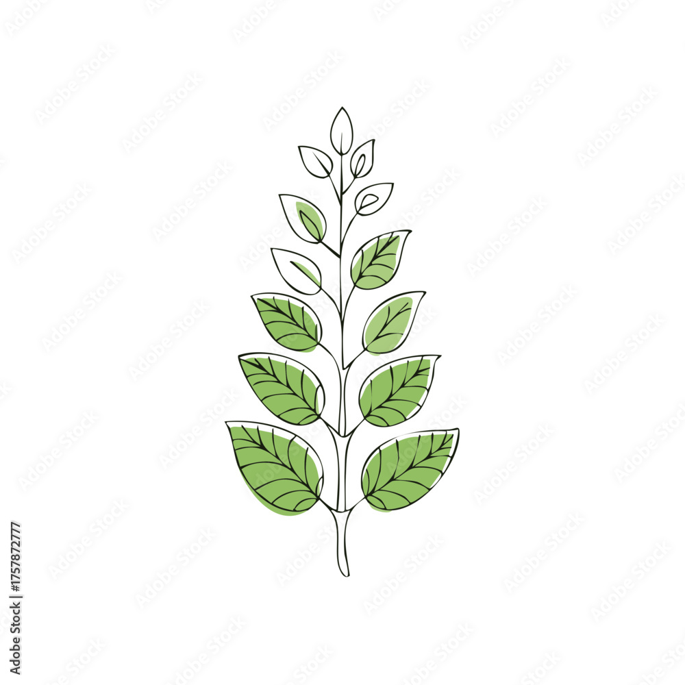 Fototapeta premium Minimalist Branch Illustration with Fresh Green Leaves on a Simple White Background