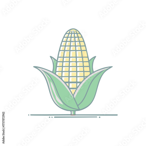 Aesthetic Illustration of Corn on the Cob with Green Husk, Vegetarian