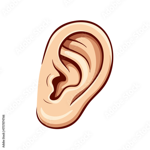 Detailed Cartoon Human Ear Anatomy Illustration: Anatomical Detail and Structure