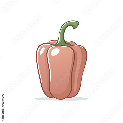 Illustration of a single pink bell pepper with green stem