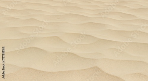 Beige sand dunes gently curved and rippled textures fill the frame
