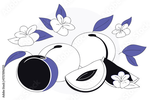 Stylized illustration of fresh plums and blossoms with purple leaves isolated on transparent background