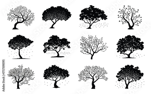 Vector art of collection of twelve different trees in black and white