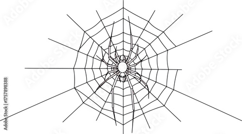 Close-up of a Spiderweb with Dew Drops in Nature