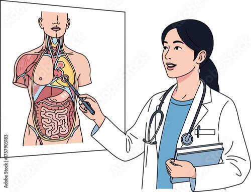 doctor educates on intricate human anatomy, empowering health understanding and learning