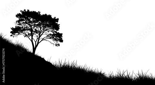 solitary sentinel natures resilient form against stark , isolated on transparent background