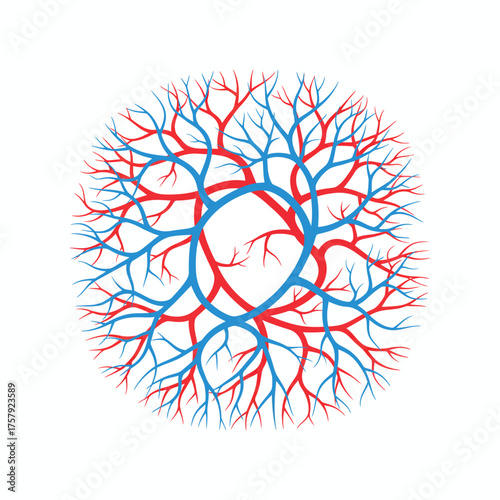 Intricate abstract illustration of a biological circulatory system with branching red arteries and blue veins forming a dense network.