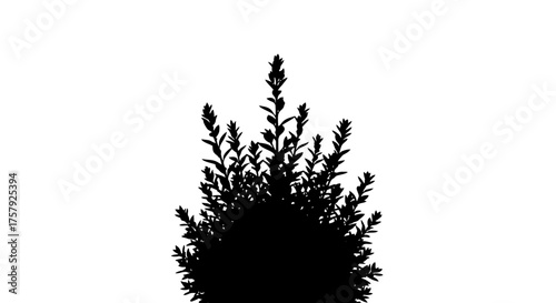botanical essence an isolated plant silhouette, embodying organic simplicity and life, isolated on transparent background