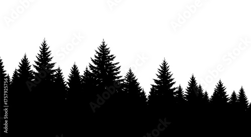 timeless evergreen forms a graphic natural edge for calm creative projects, isolated on transparent background