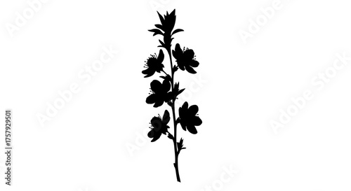 elegant flowering branch silhouette natures artistry unveils springs quiet promise, isolated on transparent background