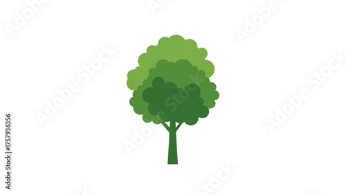 Illustrative depiction of a solitary deciduous tree, showcasing lush green foliage and a slender trunk, ideal for environmental and nature-themed designs