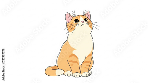 Adorable orange tabby cat looking upwards, sitting, charming feline with cute expression, domestic animal, playful pet, white background