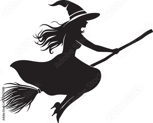 A witch flying on a broomstick vector illustration