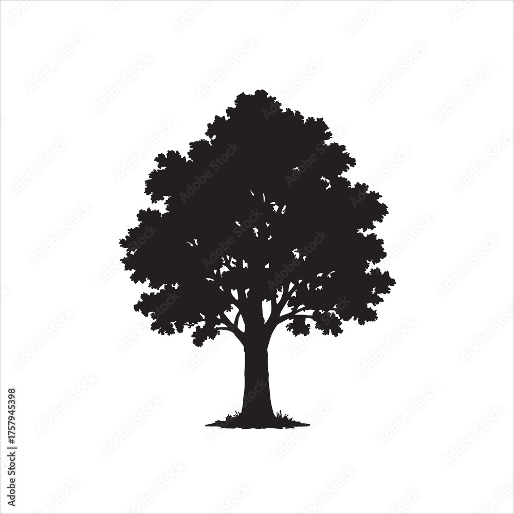 Fototapeta premium tree isolated on white