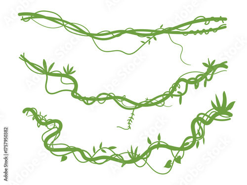 Liana plant, branches of tropical forest illustration, liana with moss silhouette
