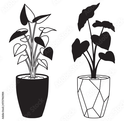 Two black and white decorative houseplants in modern geometric plant pots illustration