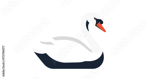 Elegant White Swan Illustration on Isolated Background with Simplified Design Elements