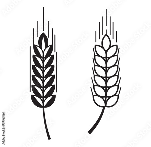 Two stylized black and white wheat ear illustrations depicting agriculture and food production