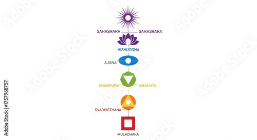 Representation of the seven chakras energy centers in the human body well being and spiritual
