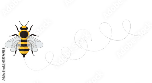 Cartoon Bee Flying with Dotted Line Trail on White Background, Minimalist Style Illustration