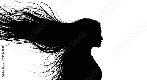Elegant silhouette of a woman with long flowing hair against a white background