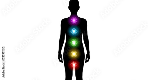 Chakra system illustration human silhouette with seven energy centers alignment system