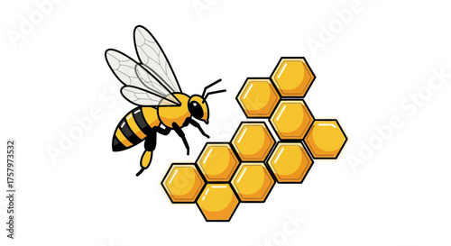 Cartoon bee illustration with honeycomb isolated on white background graphic design
