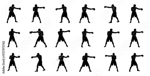 Boxer silhouette striking poses boxing fighter