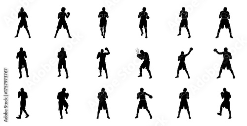 Boxer silhouettes in various fighting stances boxing