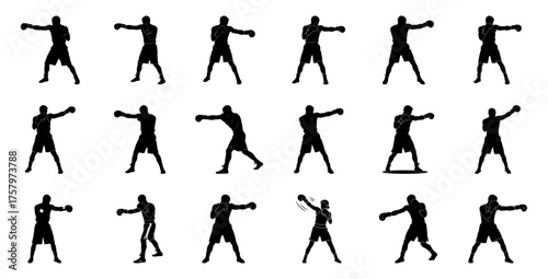 Boxer silhouettes in various fighting stances boxing