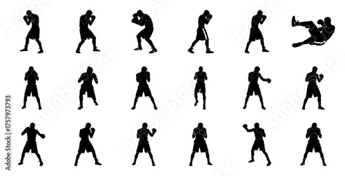 Boxer silhouettes in various fighting stances boxing