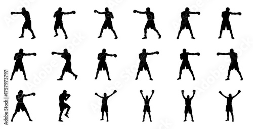 Boxer silhouettes in action poses boxing fighter