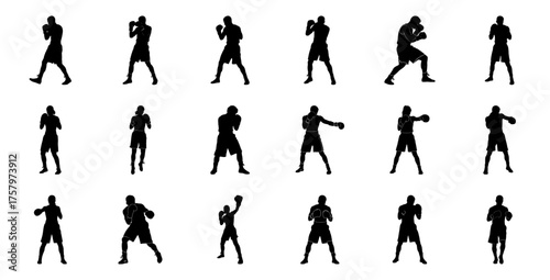 Boxers in various stances boxing silhouette