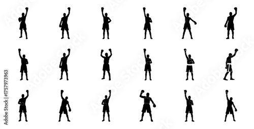 Boxing victory poses fighter celebration