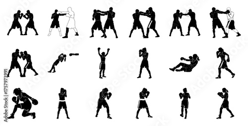 Boxing silhouettes on white background fighters athletes