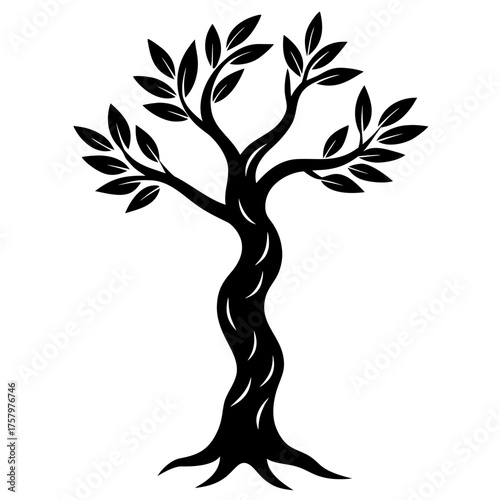 Olive tree silhouette in vector illustration