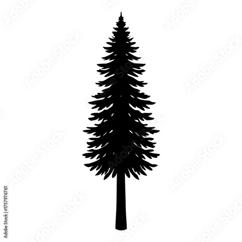 Silhouette of a tall redwood tree, vector illustration