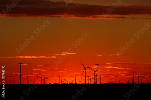 Sunset at the Chubut Norte Wind Farm