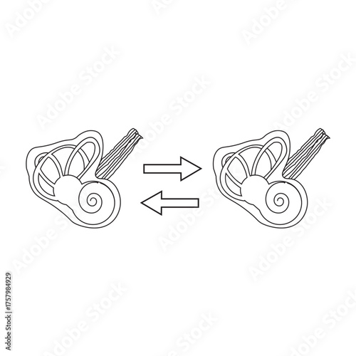 Cochlea Implant line icon