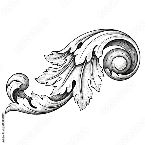Intricate baroque acanthus leaf scroll ornament with volute detail isolated on white background
