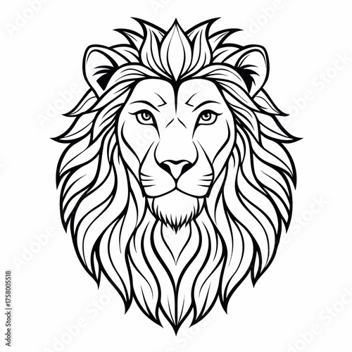 lion vector illustration