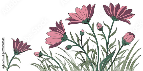 Delicate pink daisy flowers bloom vibrantly amidst lush green grass creating a beautiful natural composition perfect for spring and summer themes