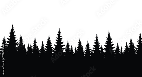 A seamless silhouette of evergreen trees against a clear white sky.
