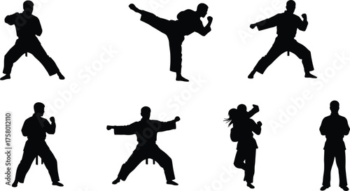 Martial arts silhouette vector illustration showing karate, taekwondo, kung fu, self defense, fighting stances, high kicks, training, combat, discipline, strength