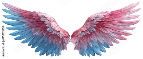 Angel wings with pink and blue gradient feathers, isolated on transparent background