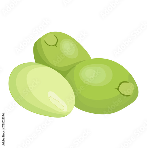 Stink Bean or Parkia Speciosa Vegetable Illustration Isolated on White Background